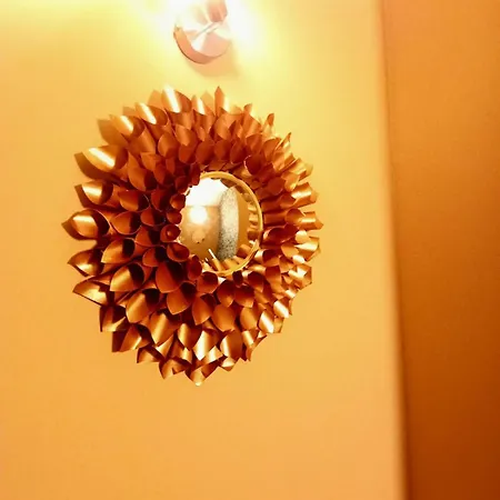 Le Coin Des Evasions *